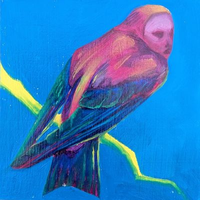 pinkbird_4x4_oilboard